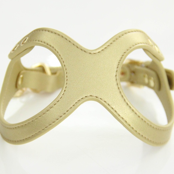 To Beg for Accessories and Treats Premium Vegan Dog Harness Size Medium - Picture 1 of 5